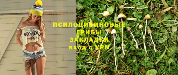 СК Арсеньев